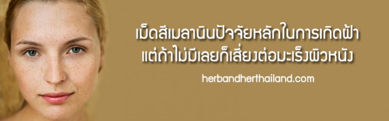 เม็ดสีเมลานินปัจจัยหลักในการเกิดฝ้า แต่ถ้าไม่มีเลยก็เสี่ยงต่อมะเร็งผิวหนัง